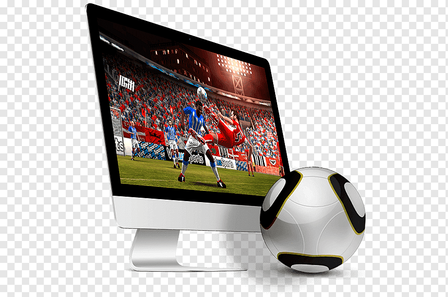 All You Need to Know About the Aviator App