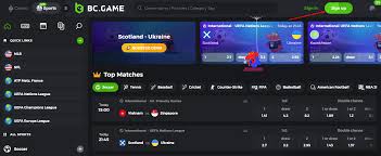 Explore the Excitement of Online Gaming with BCGameBet 30